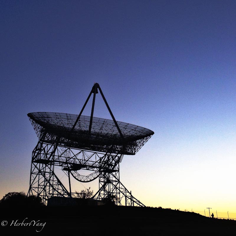 Stanford Dish 5