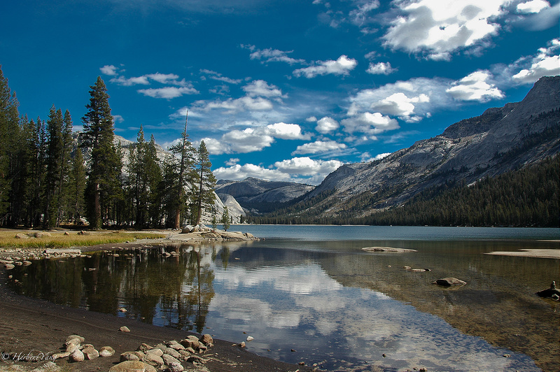 Herbert&#39;s Yosemite Guide