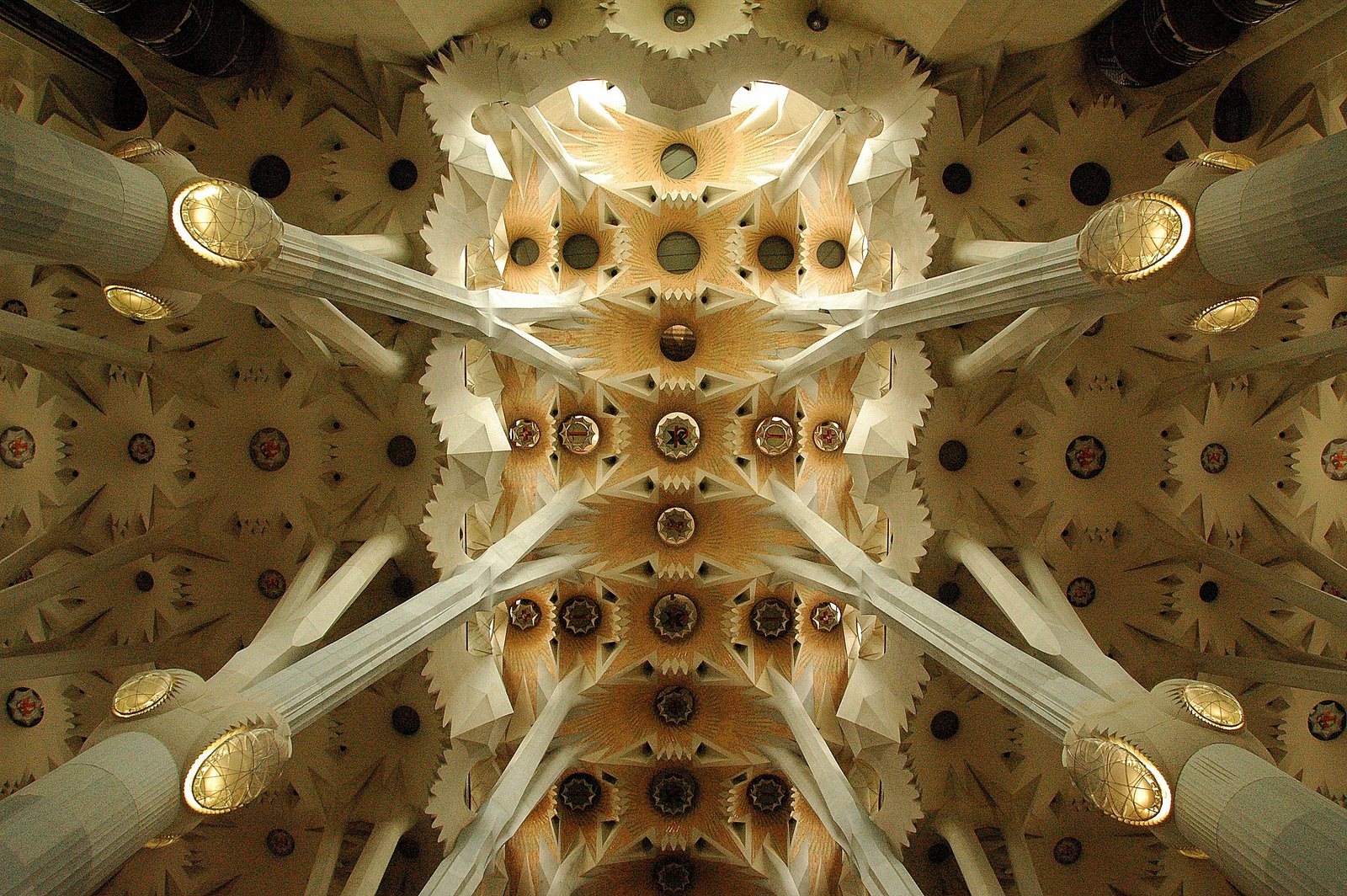 Spain Whale Belly